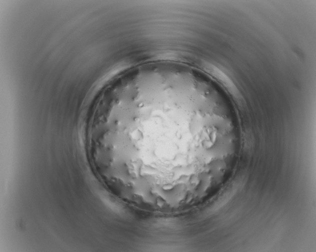 X0000114031043200910091430