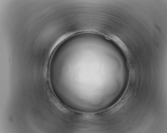 X0000114031052200910091430