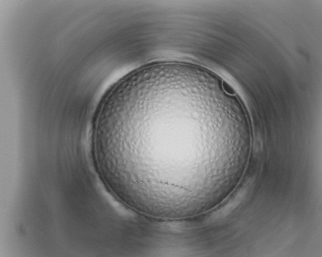 X0000114031053200910091430