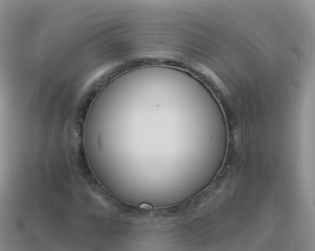 X0000114031064200910091429