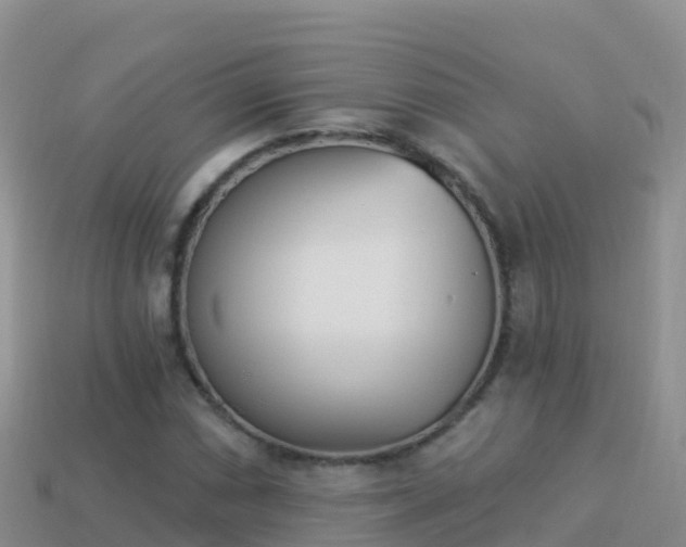 X0000114031066200910091429