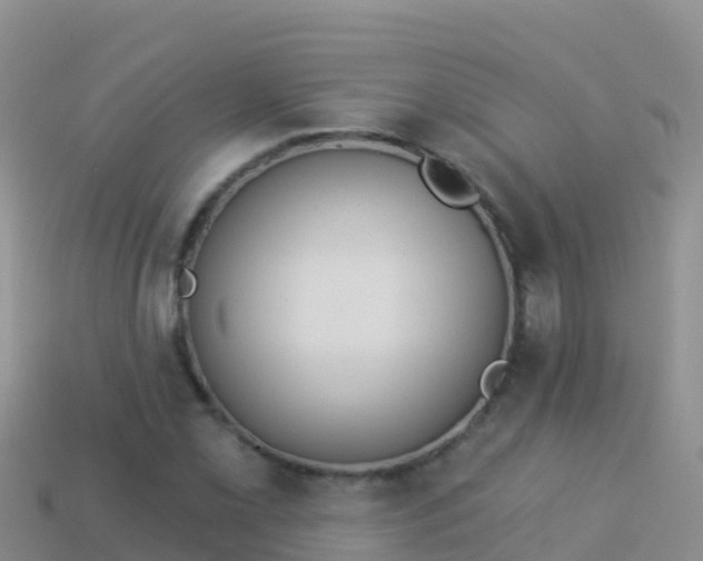 X0000114031069200910091429