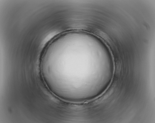 X0000114031071200910091429