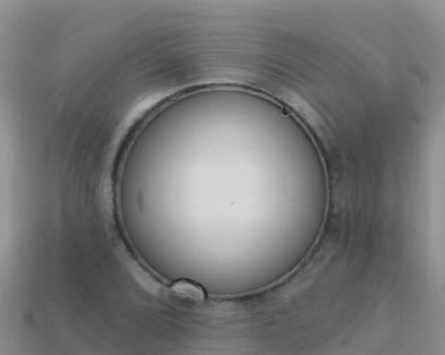 X0000114031072200910091429