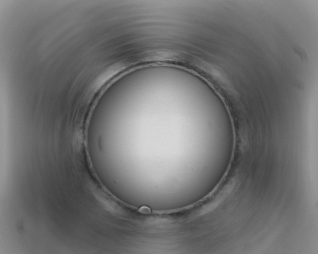 X0000114031073200910091429