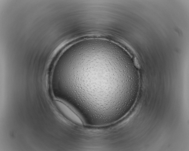 X0000114031075200910091429