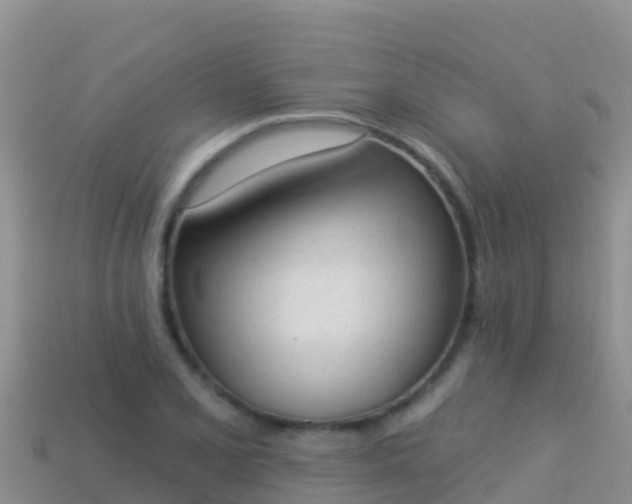 X0000114031077200910091429