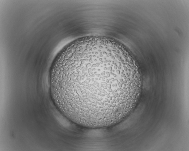 X0000114031078200910091429