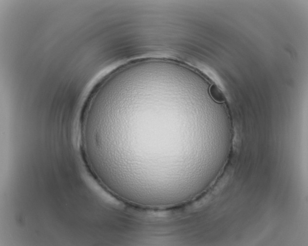 X0000114031080200910091429
