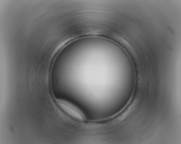 X0000114031081200910091429