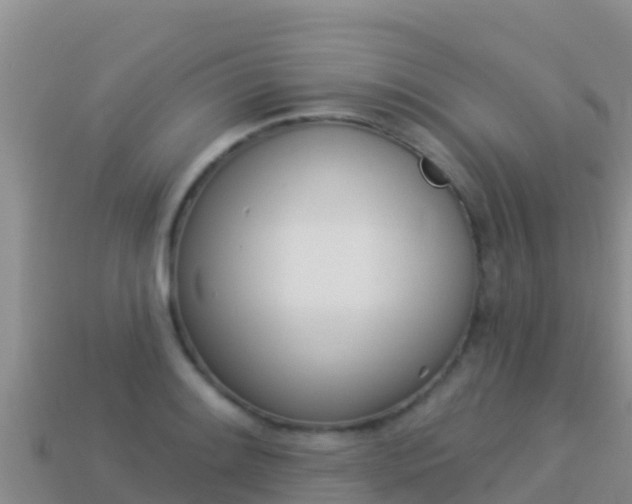 X0000114031084200910091429