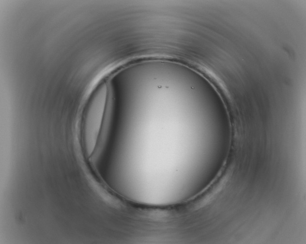 X0000114031085200910091429