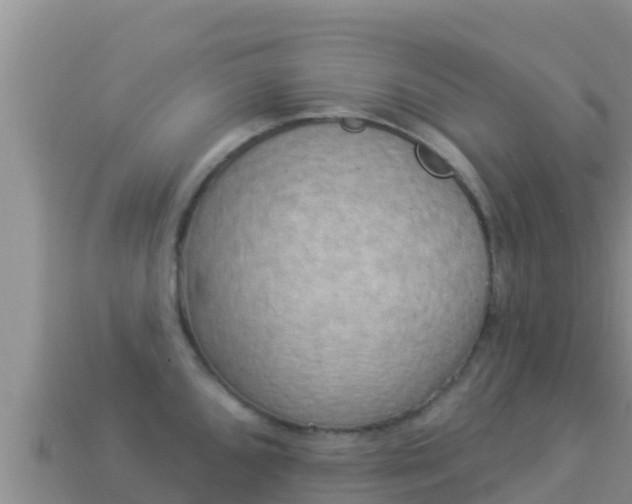 X0000114031096200910091429