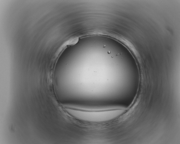 X0000114031097200910091429