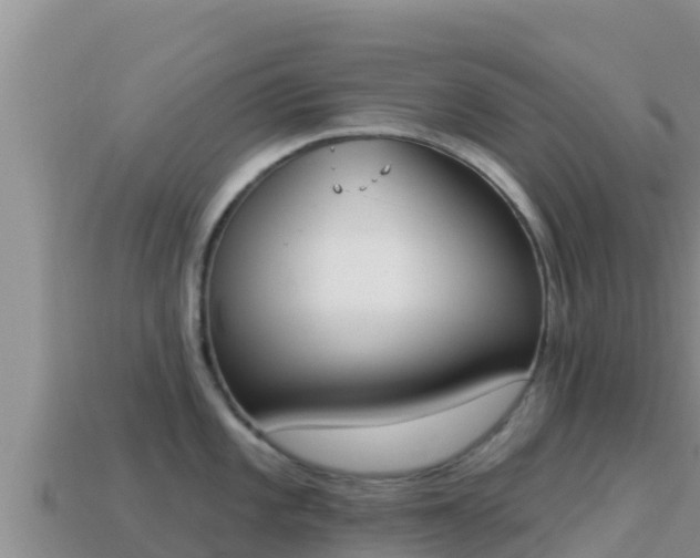 X0000114031101200910091429
