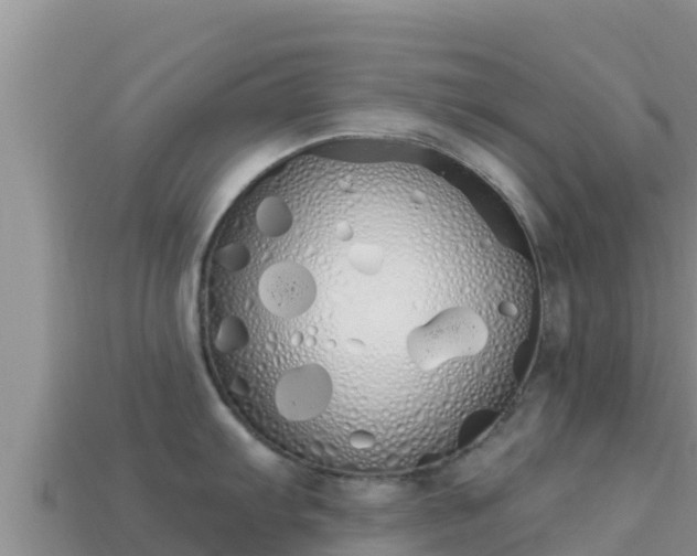 X0000114031103200910091429