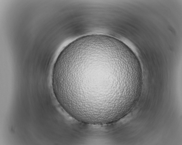 X0000114031104200910091429