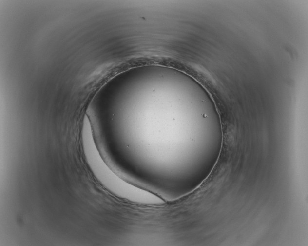 X0000114031110200910091428