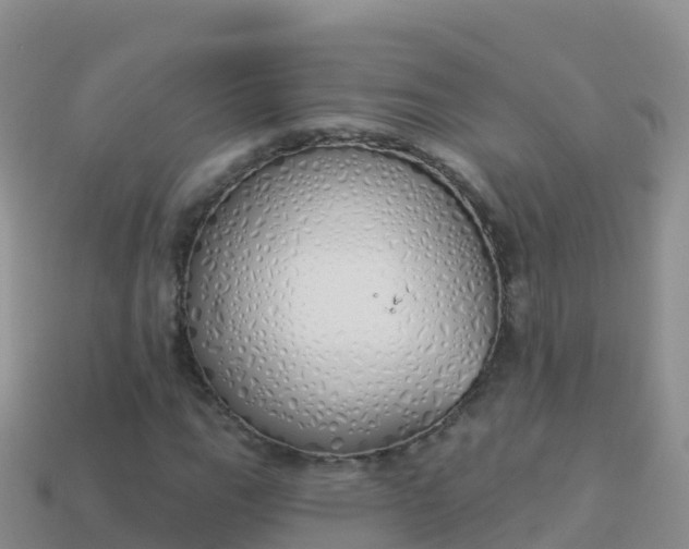 X0000114031111200910091428