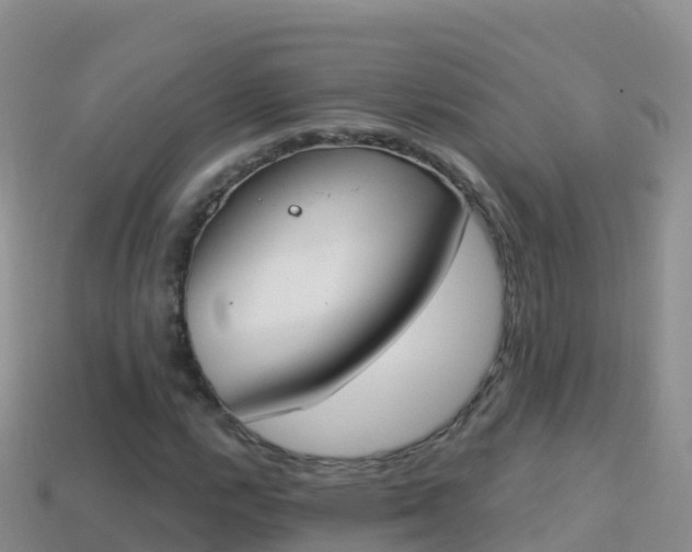 X0000114031112200910091428