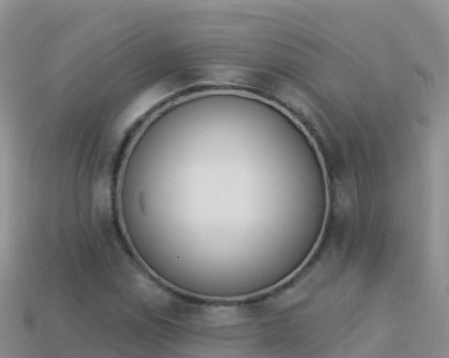 X0000114031114200910091428