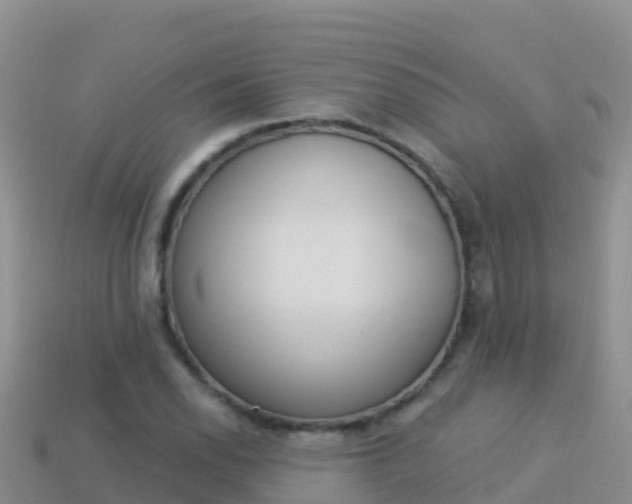 X0000114031118200910091428