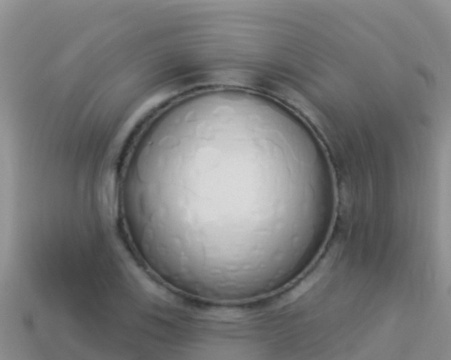 X0000114031123200910091429