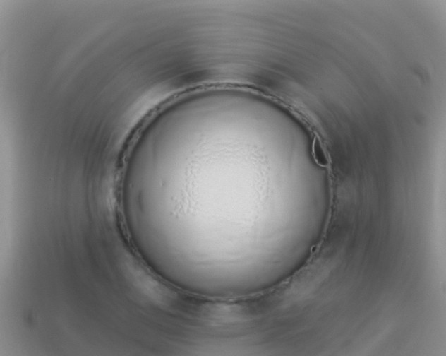 X0000114031124200910091429