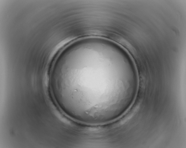 X0000114031125200910091429