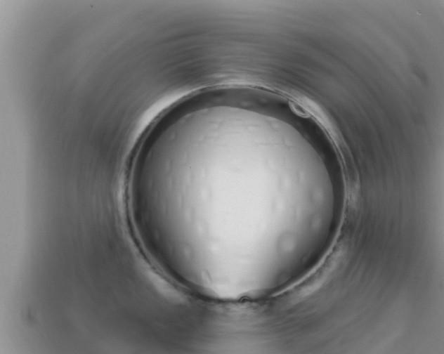 X0000114031149200910091429