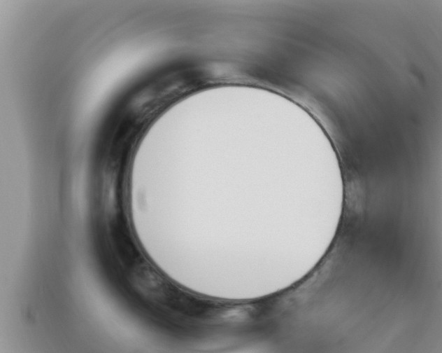X0000114031150200910091429