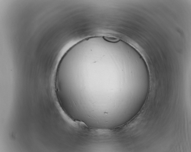 X0000114031152200910091429