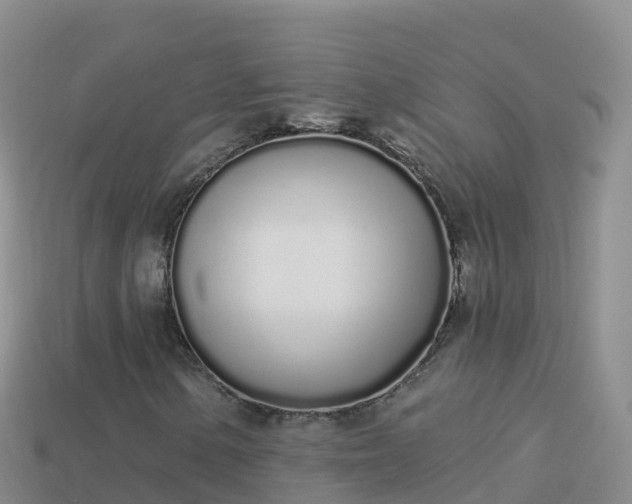 X0000114031154200910091428
