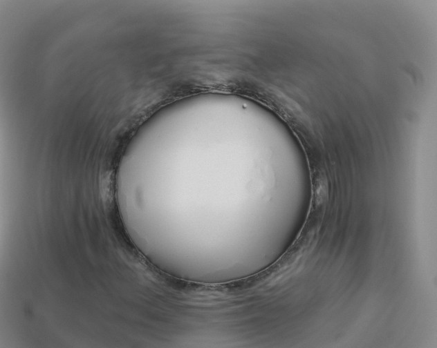X0000114031156200910091428