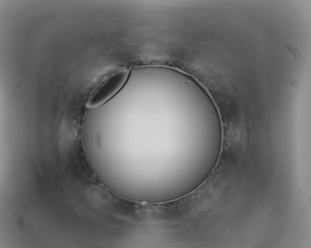 X0000114031157200910091428