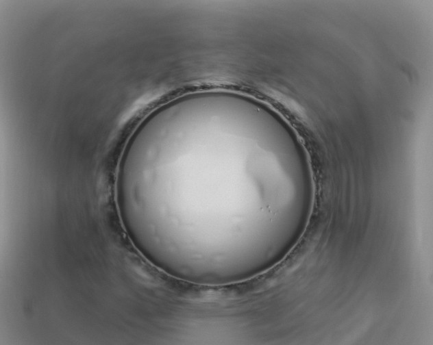 X0000114031160200910091428