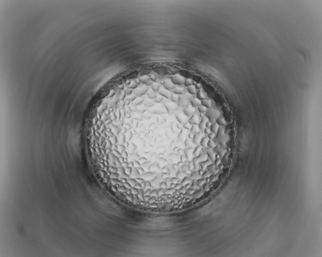 X0000114031162200910091428