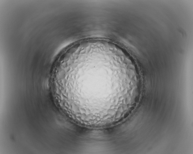 X0000114031166200910091428