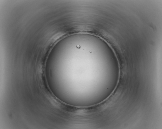 X0000114031169200910091428
