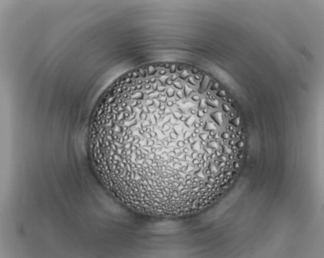 X0000114031178200910091428