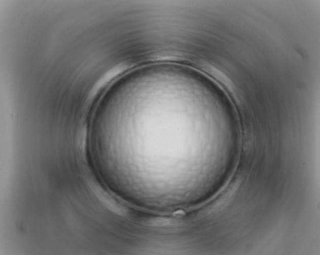 X0000114031179200910091428