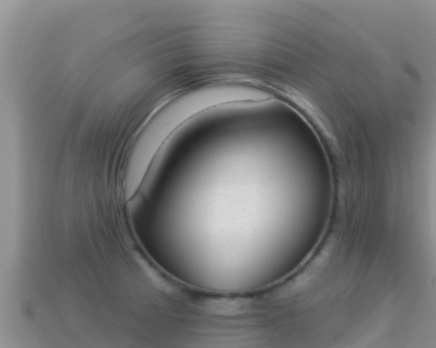 X0000114031185200910091428