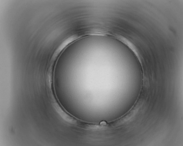 X0000114031195200910091428