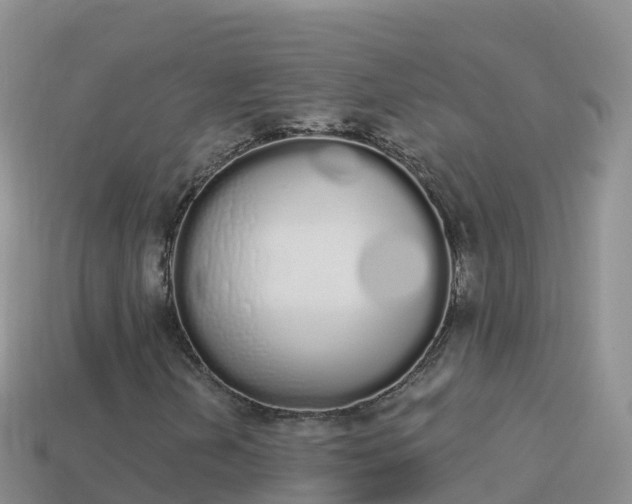 X0000114031202200910091427