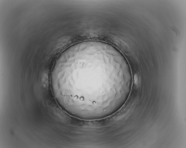 X0000114031203200910091427