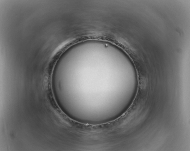 X0000114031208200910091427