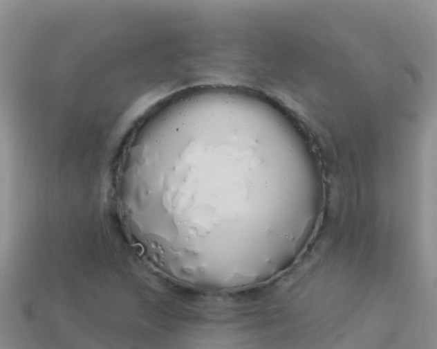 X0000114031215200910091427