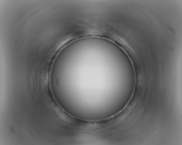 X0000114031220200910091427