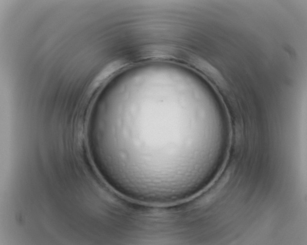 X0000114031226200910091427
