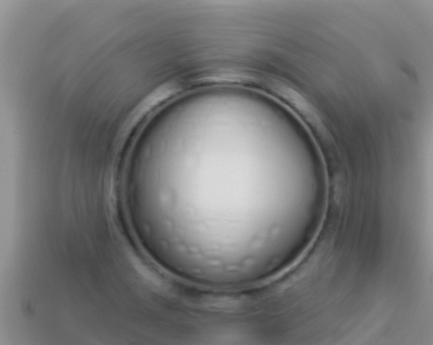 X0000114031229200910091427